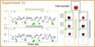Immiscible color flows in optimal transport networks for image classification